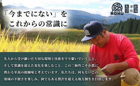 【令和8年産先行予約】朝採れ とうもろこし（6本）2Lサイズ 5セット | 津南町 スイートコーン とうもろこし