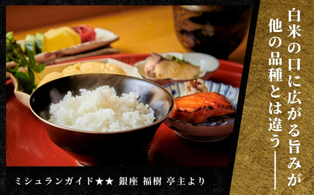 【寄付額見直し】魚沼産コシヒカリ 雪椿 2kg (2キロ×1袋) 特別栽培  | 魚沼 津南町 令和7年