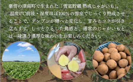 雪室熟成のじゃがいも 10kg | 津南町 じゃがいも