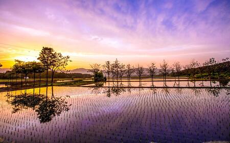 【2025年産 】【3ヶ月定期便】5kg(5kg×1袋) 県認証 魚沼産新之助 |津南町 コシヒカリ 定期便