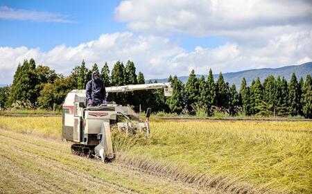【2025年産 】【3ヶ月定期便】5kg(5kg×1袋) 県認証 魚沼産新之助 |津南町 コシヒカリ 定期便