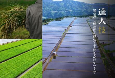 魚沼産コシヒカリ 雪椿 2kg×2袋 化粧箱入り 特別栽培米 ギフト |津南町 魚沼 令和7年