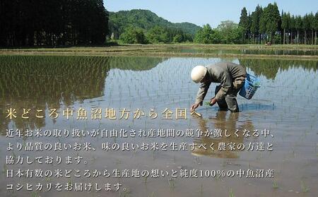 魚沼産コシヒカリ「金印」高食味米 5kg＜令和5年産＞