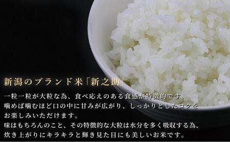 令和5年産新米＞【定期便】中魚沼産「新之助(しんのすけ)」5kg×全12回