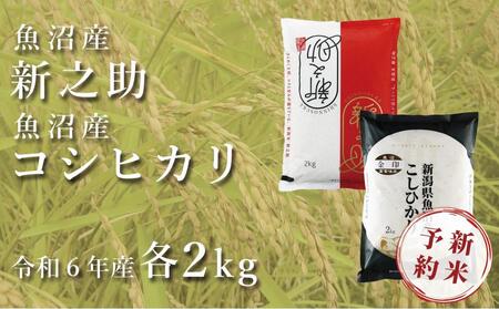 食べ比べ 「極み」令和5年産新潟新之助 魚沼産コシヒカリ 白米5kg各1個