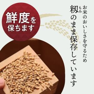 JAS認証 有機栽培米 玄米 2kg 新潟県産 コシヒカリ_有機栽培 玄米 お米 こしひかり_【1551468】