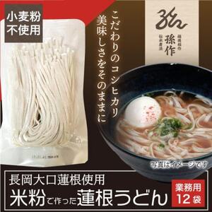 米粉麺 うどん グルテンフリー 128g×12食パック_米粉うどん 麺 美味しい_【1563090】