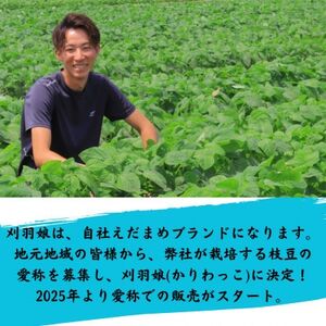 新潟県刈羽村 朝採直送枝豆 刈羽娘2kg(500g×4パック)【配送不可地域:離島・北海道・沖縄県】【1717167】