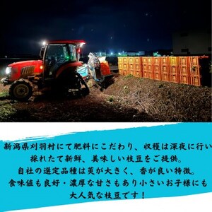 新潟県刈羽村 朝採直送枝豆 刈羽娘3kg(500g×6パック)【配送不可地域:離島・北海道・沖縄県】【1717171】