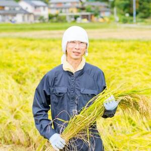 光兎米コシヒカリ レンジアップごはん(150g×20個)【1581017】
