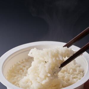 光兎米コシヒカリ レンジアップごはん(150g×6個)【1581018】