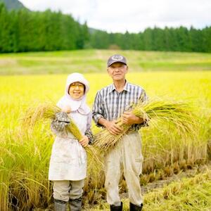 R7年産 濃厚な甘み! 岩船産コシヒカリ 精米6kg(2kg×3袋)[農家民宿おくやま]_岩船産 コシヒカリ 精米 先行予約_【1584913】