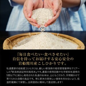 【毎月定期便】関川村産こしひかり6kg(2kg×3袋)ふっくら美味しさ 岩船米 [横山農産]全12回【4073979】