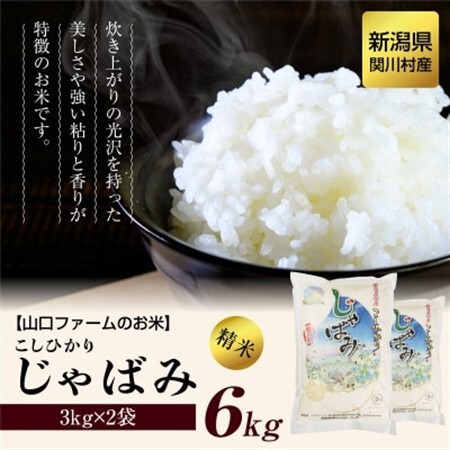 【毎月定期便】関川村産コシヒカリ6kg 丁寧に育てた贅沢米 [山口ファーム]全6回【4073239】