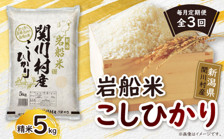 【毎月定期便】炊きたてつやつや 新潟関川村産 岩船米こしひかり精米 5kg [星山米店]全3回【4079623】