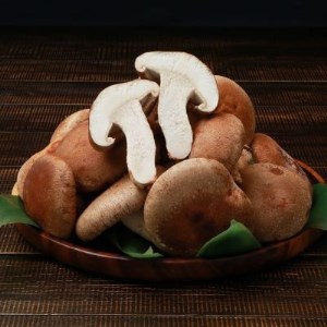 【関川村産】肉厚しいたけ(1kg)【1085589】