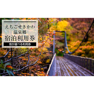 選ばれる温泉体験 15,000円分の温泉宿泊利用券【1278600】