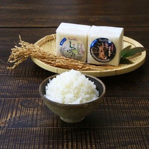 贈り物にも最適!山口ファーム厳選コシヒカリとつきあかりの米セット【1301720】
