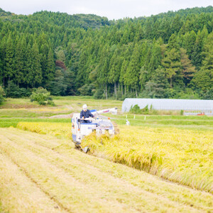 贈り物にも最適!山口ファーム厳選コシヒカリとつきあかりの米セット【1301720】