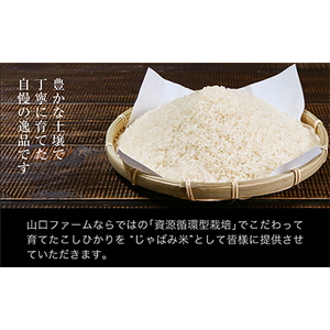 山口ファームのお米 こしひかり精米6kg(3kg×2袋)「じゃばみ」【1344366】