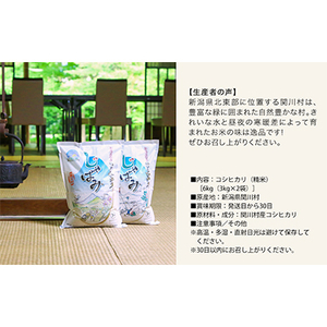 山口ファームのお米 こしひかり精米6kg(3kg×2袋)「じゃばみ」【1344366】