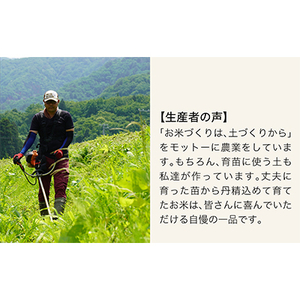 上野新農業センターのお米 関川村産コシヒカリ精米6kg(2kg×3袋)【1346326】