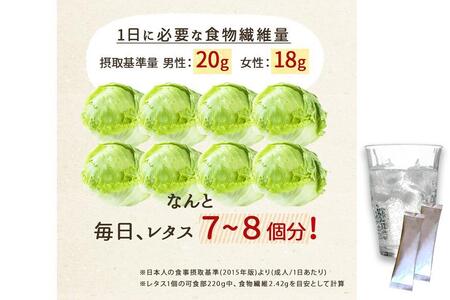 【食物繊維/難消化性デキストリン 】なんできコラーゲンα【6g×30包×10箱セット】