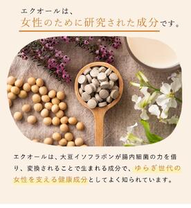 『定期便全6回』 女性特有の悩みを徹底サポートするサプリ「エクオールワン」