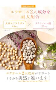 『定期便全6回』 女性特有の悩みを徹底サポートするサプリ「エクオールワン」