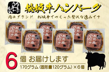 松阪牛ハンバーグ デミグラスソース 170g×6個セット