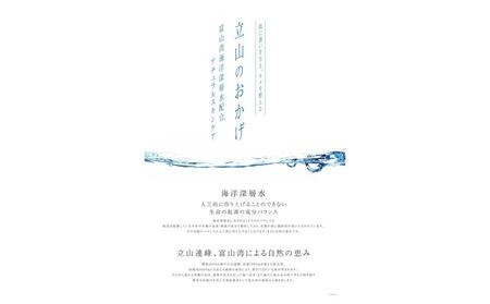 オールインワン美容液　立山のおかげ　200ml×1本