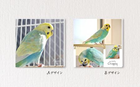 アイフォト-ペット写真パネル イーゼル+ラッピング付き