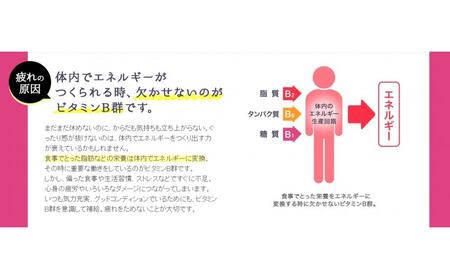 エーザイ　チョコラBBハイパー　10本