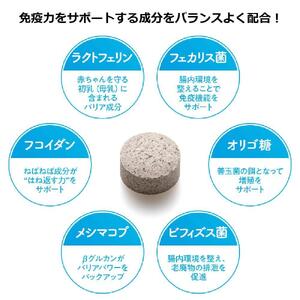 ワンちゃんの健康維持に！DHC 犬用 国産 負けないドッグ《無添加》2個セット