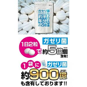【2個セット】たっぷり大容量約半年分ガセリ菌サプリメント 360粒