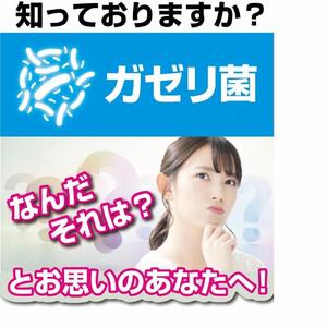 【2個セット】たっぷり大容量約半年分ガセリ菌サプリメント 360粒