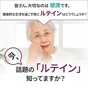 【2個セット】たっぷり大容量ルテインサプリメント 540粒