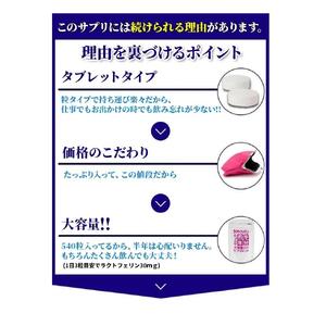 【2個セット】約半年分たっぷり大容量ラクトフェリンサプリメント540粒