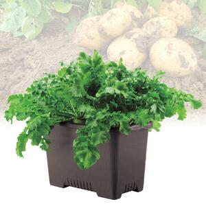 菜園上手 ジャンボ 65型