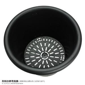 菊鉢10号　10個セット