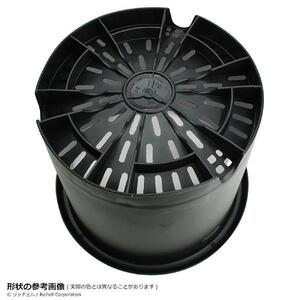 菊鉢10号　10個セット