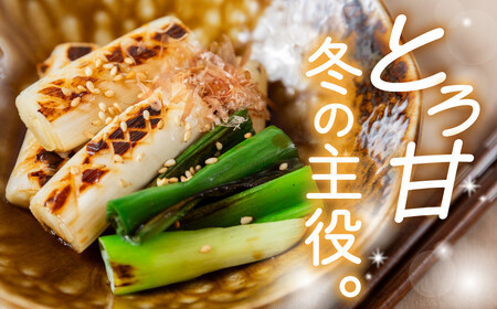 くろまる農園　富山の白ネギ（泥付き）3キロ