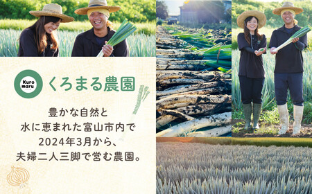 くろまる農園　富山の白ネギ（泥付き）3キロ