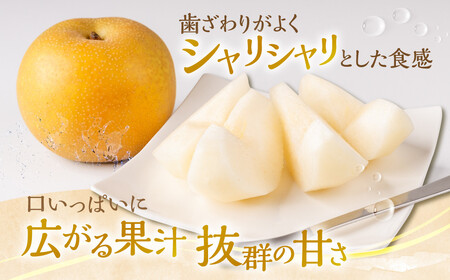 【先行予約・2026年8月25日～9月10日に発送】呉羽梨（くれはなし）5kg箱