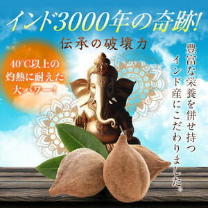 ターミナリアベレリカ サプリ 約4ヶ月分 宝蔵メディカル