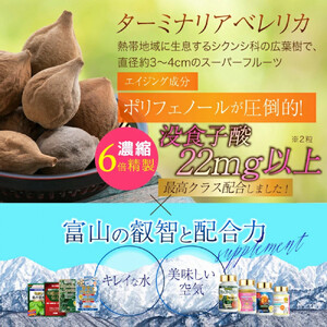 ターミナリアベレリカ サプリ 約4ヶ月分 宝蔵メディカル