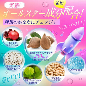 ターミナリアベレリカ サプリ 約4ヶ月分 宝蔵メディカル