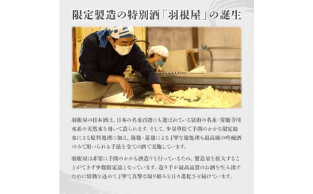 羽根屋 純米大吟醸 翼・純吟煌火 ～きらび～ 720ml 2本セット