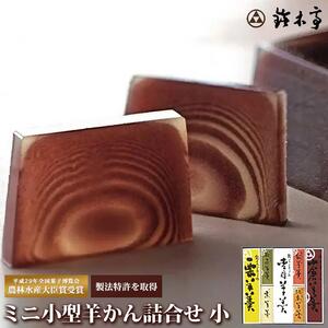 富山 大和百貨店 選定 〈鈴木亭〉ミニ小型羊羹詰合せ 小