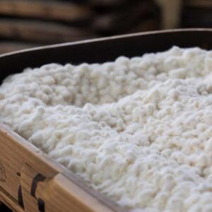 糀の甘酒「おわら酔芙蓉」